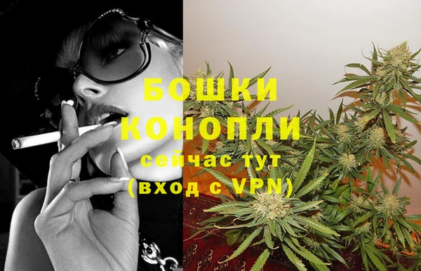 стафф Кодинск