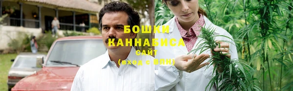 стафф Кодинск