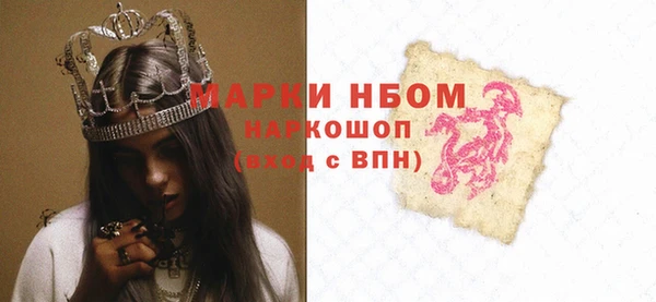стафф Кодинск