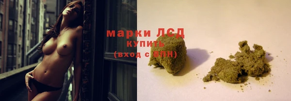 стафф Кодинск