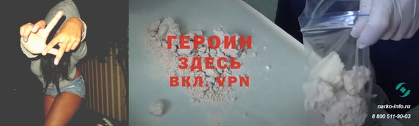 прущие грибы Коряжма