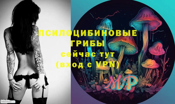 стафф Кодинск