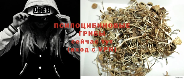 стафф Кодинск
